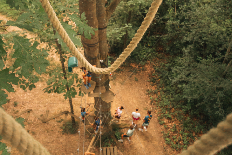 équipement d'accrobranche autour d'un arbre proche de Pau 